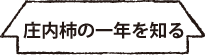 庄内柿をもっと知る